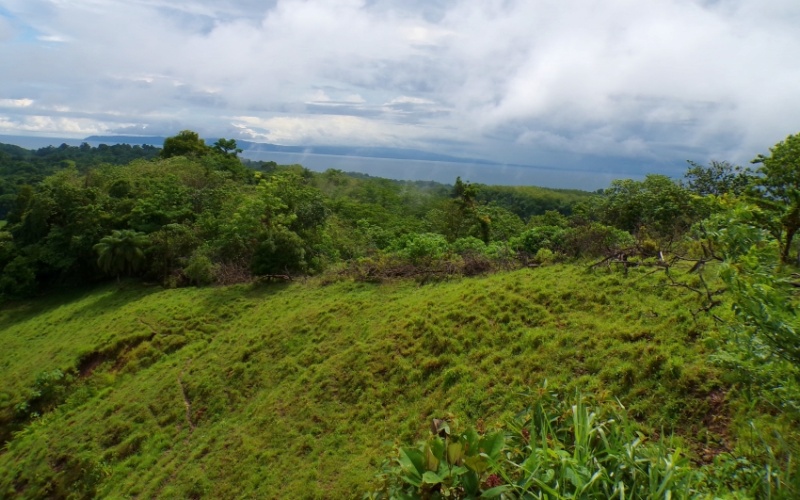 Mirador de Cuervito