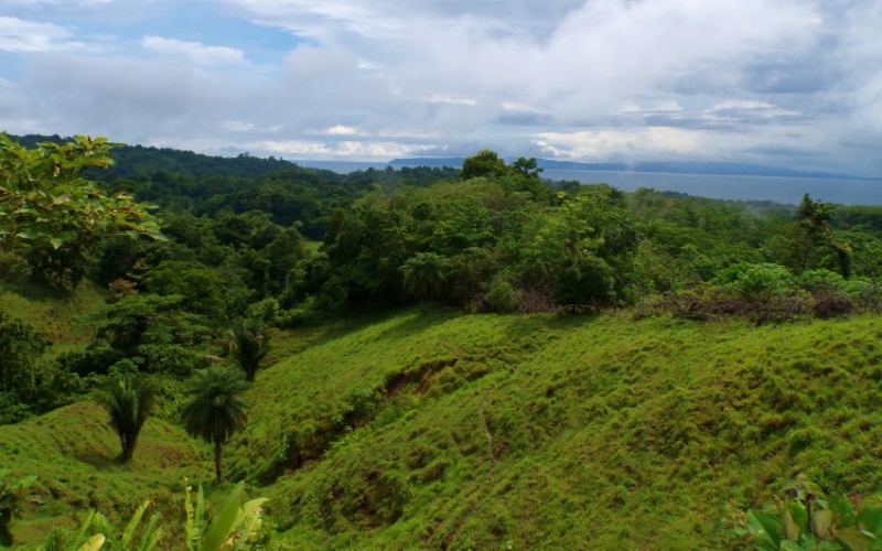 Mirador de Cuervito