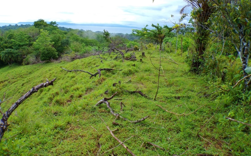 Mirador de Cuervito