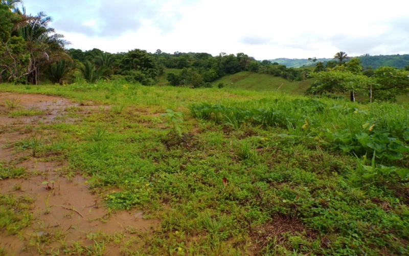 Mirador de Cuervito