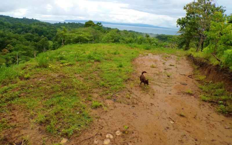 Mirador de Cuervito