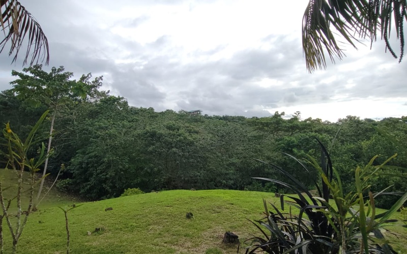 Mountain house, Beach House, Pavones, Costa Rica, Real Estate, For sale, Cuervito, Costa Rica, Realty Pros, Bienes Raices, Large lot with house, Ocean View, Playa, Pilon, Zancudo