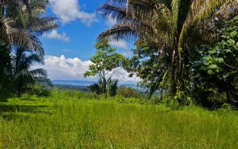 Oceanview lot for sale in Golfto Costa Rica