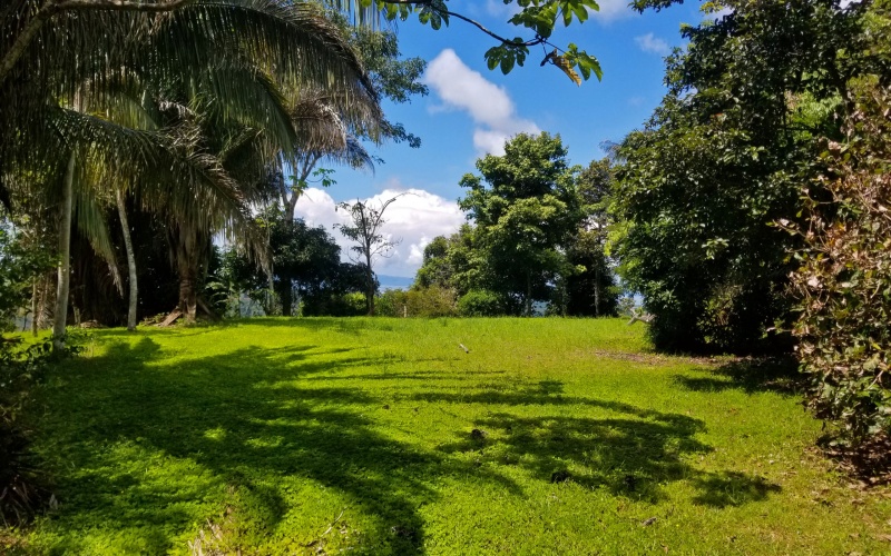 Oceanview lot for sale in Golfto Costa Rica