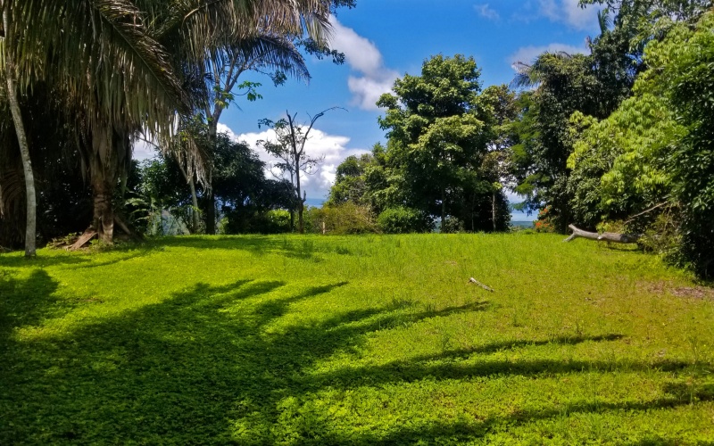 Finca for sale in Golfito CR