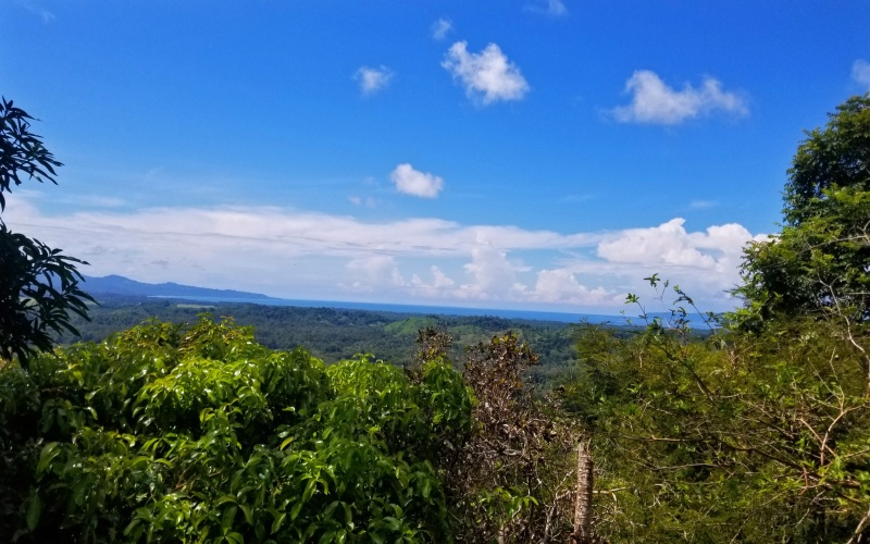 23 hectare Finca for sale Golfito Costa Rica