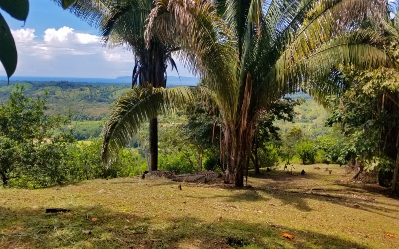 23 hectare Finca for sale Golfito Costa Rica