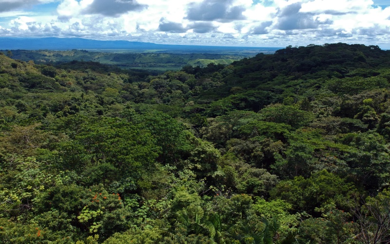 Ocean view from Finca for sale in Golfito Costa Rica