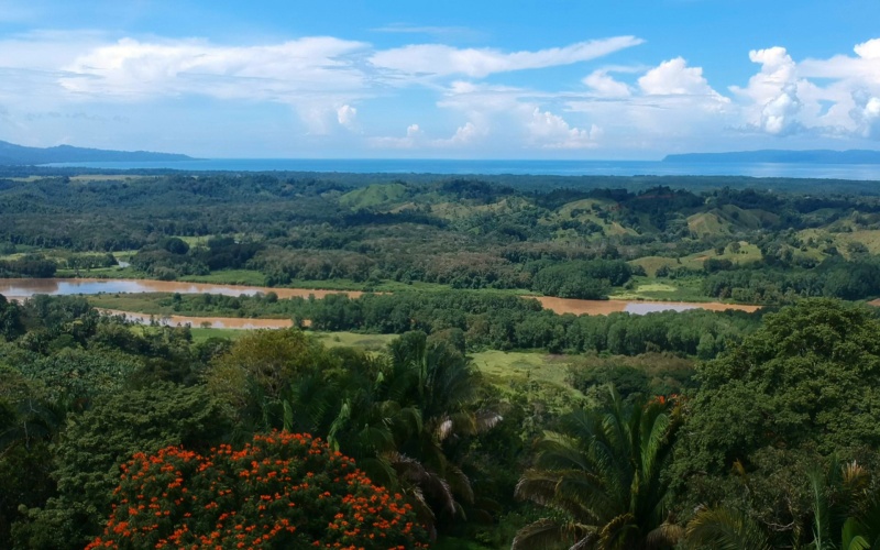 23 hectare Finca for sale Golfito Costa Rica