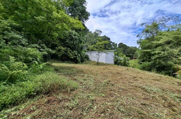 Lot, For sale, Pavones, Costa Rica, La Hierba, Surf, Surf Properties, 