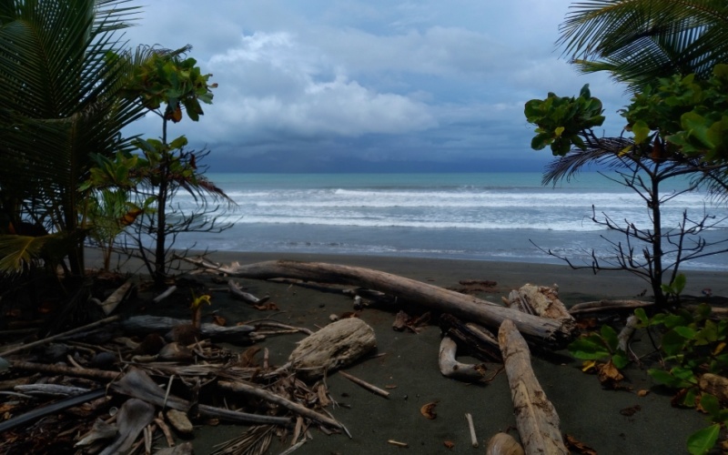 Oceanfront Retreat: Exclusive Property in Playa Zancudo