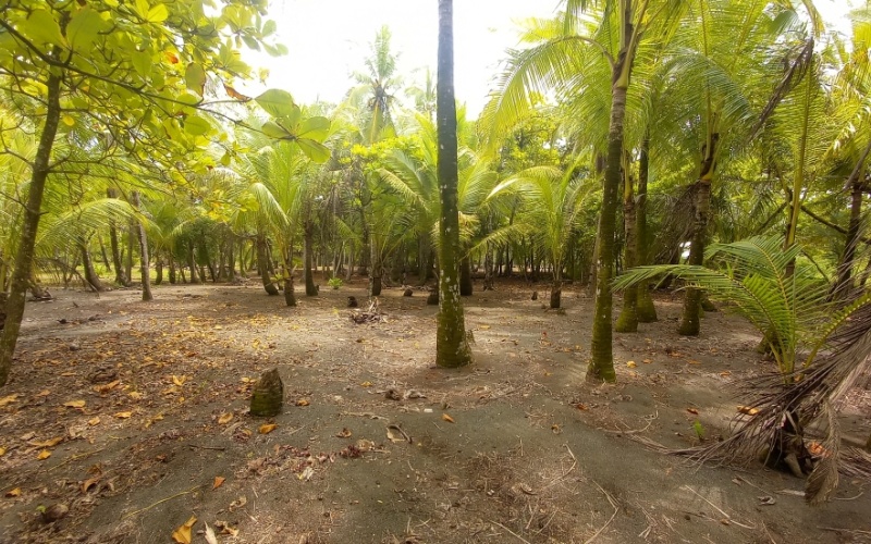 Oceanfront Retreat: Exclusive Property in Playa Zancudo