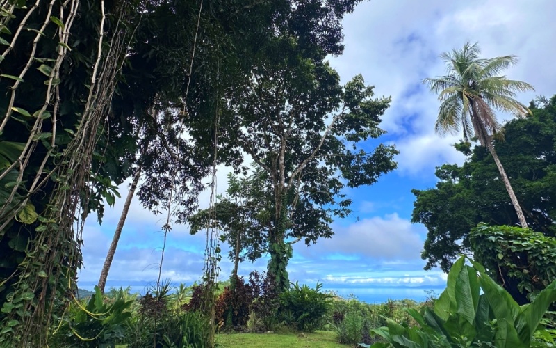 Vista Paraiso del Golfo in Cuervito de Pavones, with an incredible view