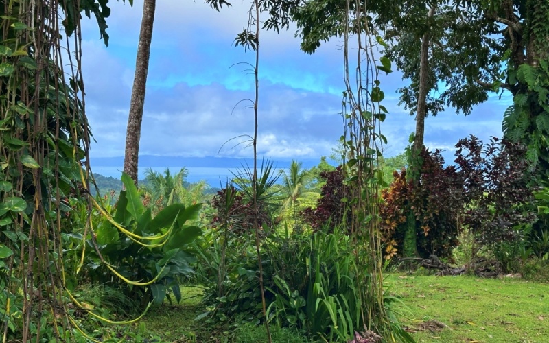 Vista Paraiso del Golfo in Cuervito de Pavones, with an incredible view