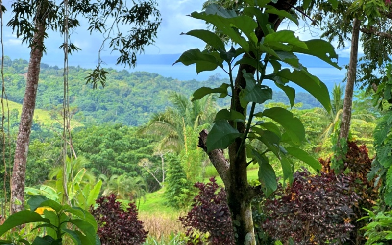 Vista Paraiso del Golfo in Cuervito de Pavones, with an incredible view