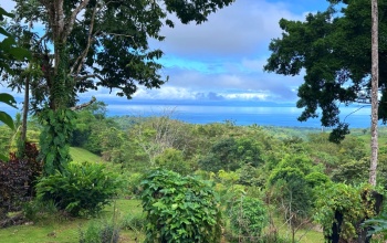 Finca Paraíso del Golfo  A Unique Opportunity in the Heart of Nature