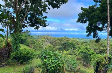 Finca Paraíso del Golfo, A Unique Opportunity in the Heart of Nature