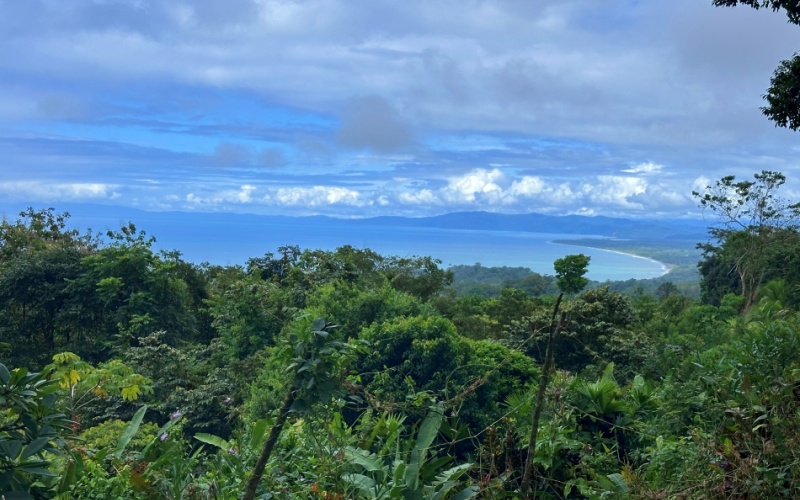 Finca Paraíso del Golfo  A Unique Opportunity in the Heart of Nature