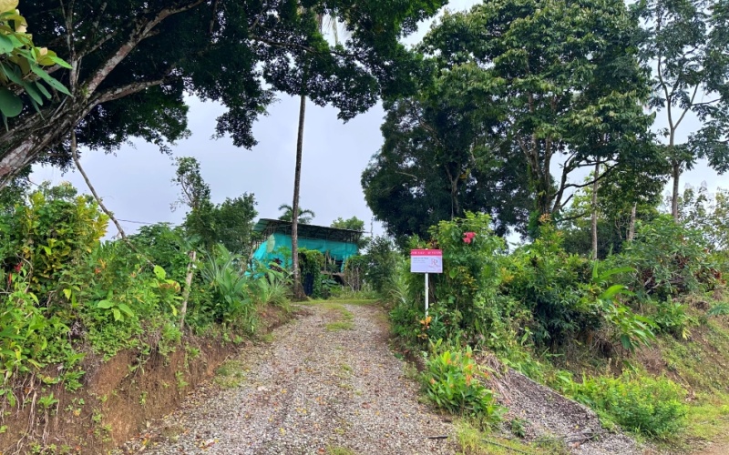 Finca Paraíso del Golfo  A Unique Opportunity in the Heart of Nature