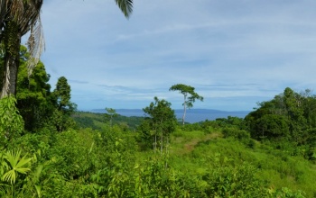 La Cima del Paraíso, Privacy, Nature, and Stunning Views Located in the exclusive and tranquil upper part of Cuervito de Pavones,