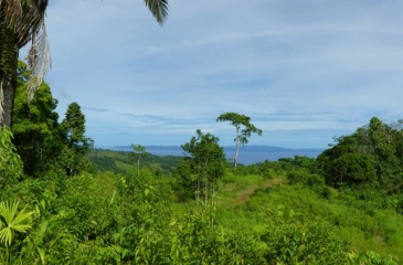 La Cima del Paraíso, Privacy, Nature, and Stunning ViewsLocated in the exclusive and tranquil upper part of Cuervito de Pavones,