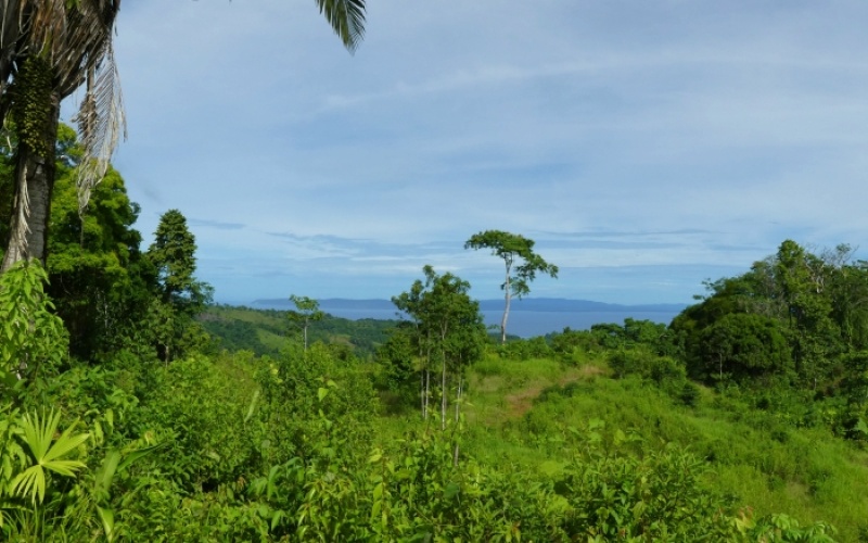 La Cima del Paraíso, Privacy, Nature, and Stunning Views Located in the exclusive and tranquil upper part of Cuervito de Pavones,