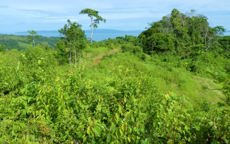 La Cima del Paraíso, Privacy, Nature, and Stunning Views Located in the exclusive and tranquil upper part of Cuervito de Pavones,