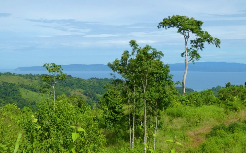 La Cima del Paraíso, Privacy, Nature, and Stunning Views Located in the exclusive and tranquil upper part of Cuervito de Pavones,