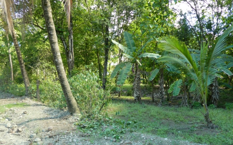 Introducing Tierra Tropical Beautiful Lot In Zancudo, 1,559 m² lot