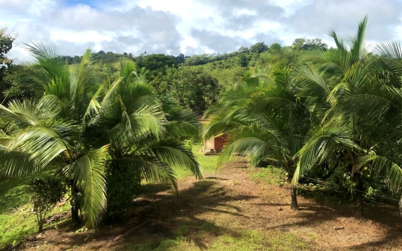 Panoramic Paradise in La Virgen with a size of 6591 m²  with panoramic view of the valley