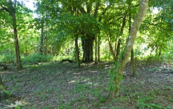 Costa Manglar Lot, This spectacular 1,849 m² property, located in the maritime-land zone of Playa Zancudo