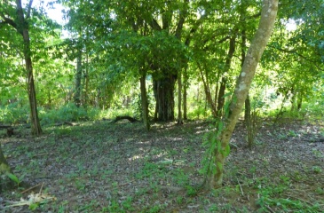 Costa Manglar Lot, This spectacular 1,849 m² property, located in the maritime-land zone of Playa Zancudo