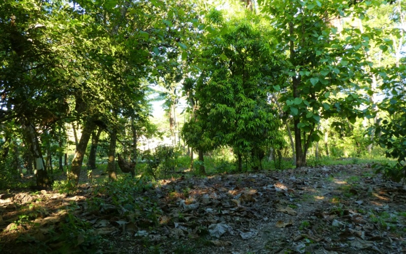 Costa Manglar Lot, This spectacular 1,849 m² property, located in the maritime-land zone of Playa Zancudo