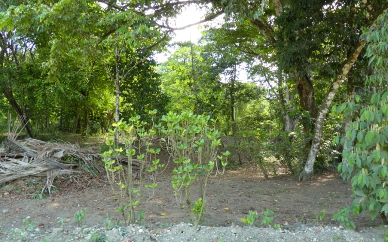 Costa Manglar Lot, This spectacular 1,849 m² property, located in the maritime-land zone of Playa Zancudo