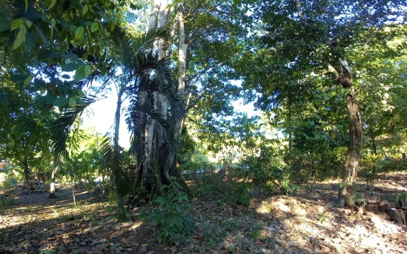 Costa Manglar Lot, This spectacular 1,849 m² property, located in the maritime-land zone of Playa Zancudo