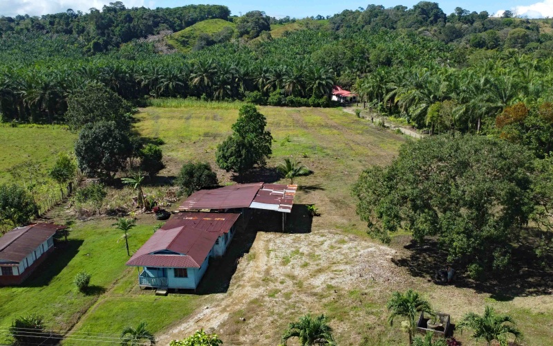 Lot for sale, La esperanza, Pavones, Pavon, Zancudo, 1.1 Hectare, Real Estate, Sale, Pavones, Costa Rica, Bienes Raices, Lot with house, 