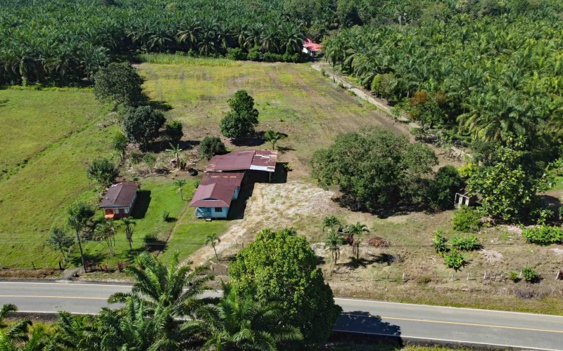 Lot for sale, La esperanza, Pavones, Pavon, Zancudo, 1.1 Hectare, Real Estate, Sale, Pavones, Costa Rica, Bienes Raices, Lot with house, 