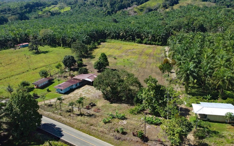 Lot for sale, La esperanza, Pavones, Pavon, Zancudo, 1.1 Hectare, Real Estate, Sale, Pavones, Costa Rica, Bienes Raices, Lot with house, 