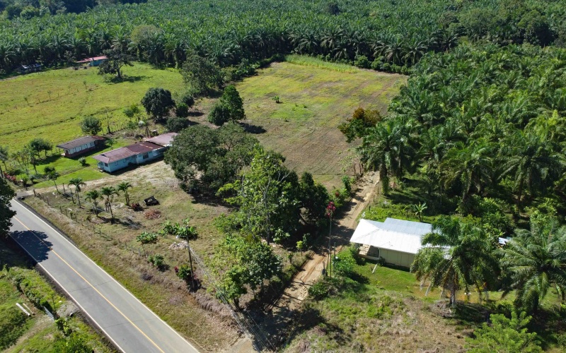 Lot for sale, La esperanza, Pavones, Pavon, Zancudo, 1.1 Hectare, Real Estate, Sale, Pavones, Costa Rica, Bienes Raices, Lot with house, 