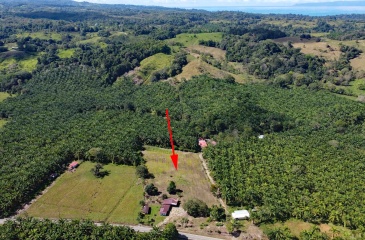 Lot for sale, La esperanza, Pavones, Pavon, Zancudo, 1.1 Hectare, Real Estate, Sale, Pavones, Costa Rica, Bienes Raices, Lot with house, 