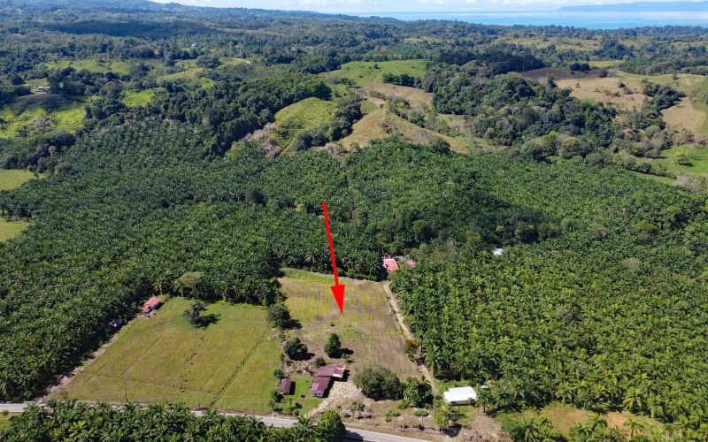 Lot for sale, La esperanza, Pavones, Pavon, Zancudo, 1.1 Hectare, Real Estate, Sale, Pavones, Costa Rica, Bienes Raices, Lot with house, 