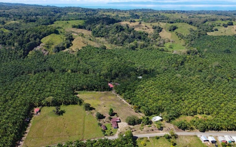 Lot for sale, La esperanza, Pavones, Pavon, Zancudo, 1.1 Hectare, Real Estate, Sale, Pavones, Costa Rica, Bienes Raices, Lot with house, 