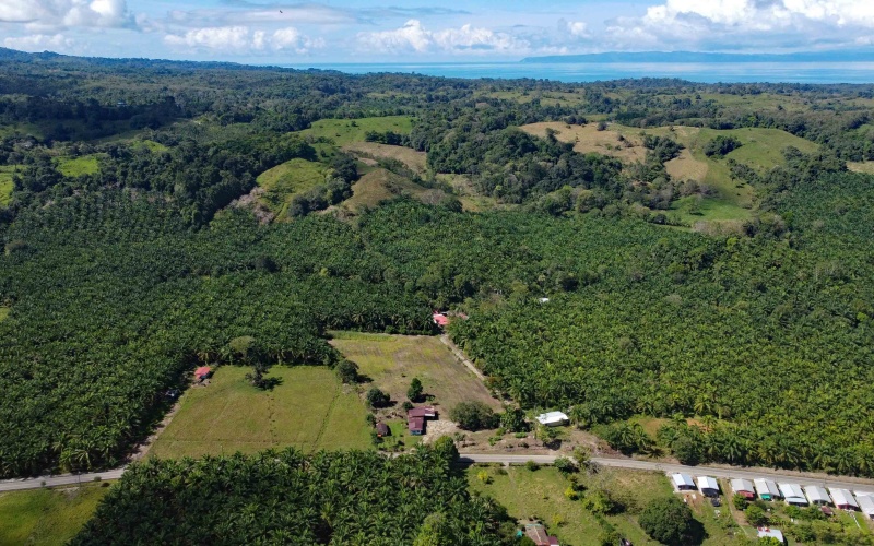 Lot for sale, La esperanza, Pavones, Pavon, Zancudo, 1.1 Hectare, Real Estate, Sale, Pavones, Costa Rica, Bienes Raices, Lot with house, 