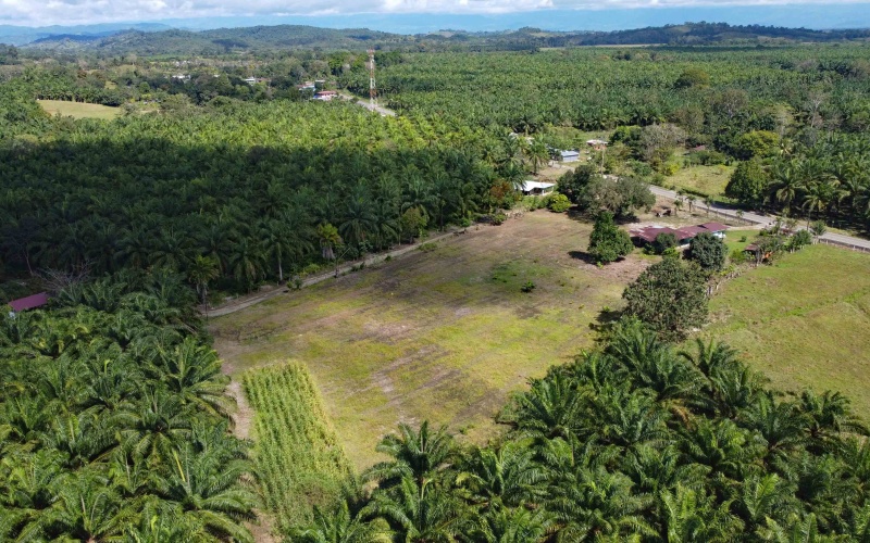 Lot for sale, La esperanza, Pavones, Pavon, Zancudo, 1.1 Hectare, Real Estate, Sale, Pavones, Costa Rica, Bienes Raices, Lot with house, 