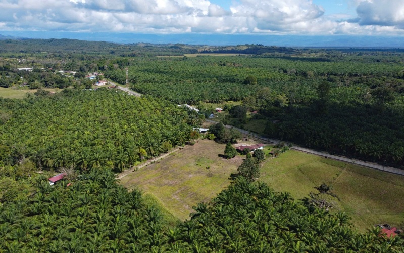 Lot for sale, La esperanza, Pavones, Pavon, Zancudo, 1.1 Hectare, Real Estate, Sale, Pavones, Costa Rica, Bienes Raices, Lot with house, 