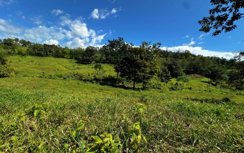 Vista Verde Paradise located on a charming hilltop, Just 40 minutes away are two world-class destinations: Playa Pavones and Playa Zancudo and only 20 minutes from downtown Golfito