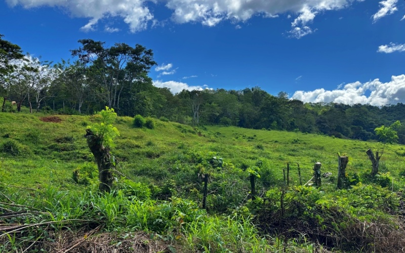 Vista Verde Paradise located on a charming hilltop, Just 40 minutes away are two world-class destinations: Playa Pavones and Playa Zancudo and only 20 minutes from downtown Golfito