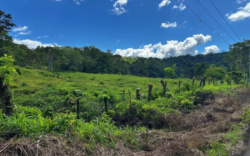 Vista Verde Paradise located on a charming hilltop, Just 40 minutes away are two world-class destinations: Playa Pavones and Playa Zancudo and only 20 minutes from downtown Golfito