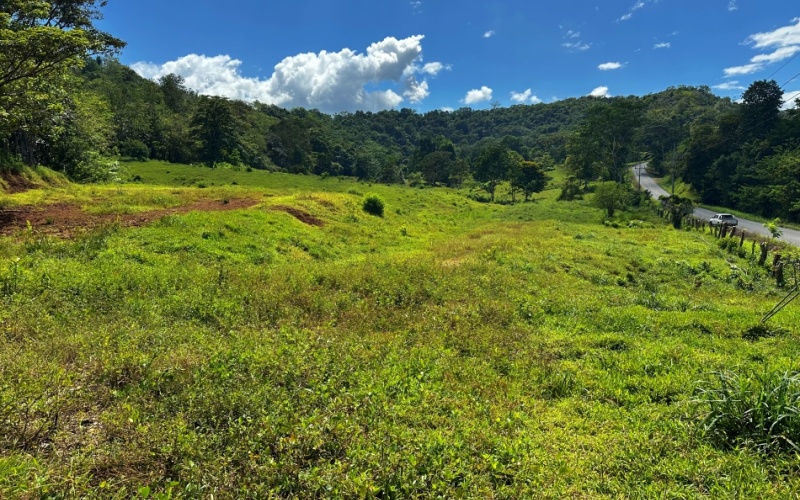 Vista Verde Paradise located on a charming hilltop, Just 40 minutes away are two world-class destinations: Playa Pavones and Playa Zancudo and only 20 minutes from downtown Golfito