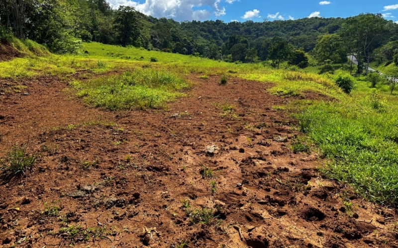 Vista Verde Paradise located on a charming hilltop, Just 40 minutes away are two world-class destinations: Playa Pavones and Playa Zancudo and only 20 minutes from downtown Golfito